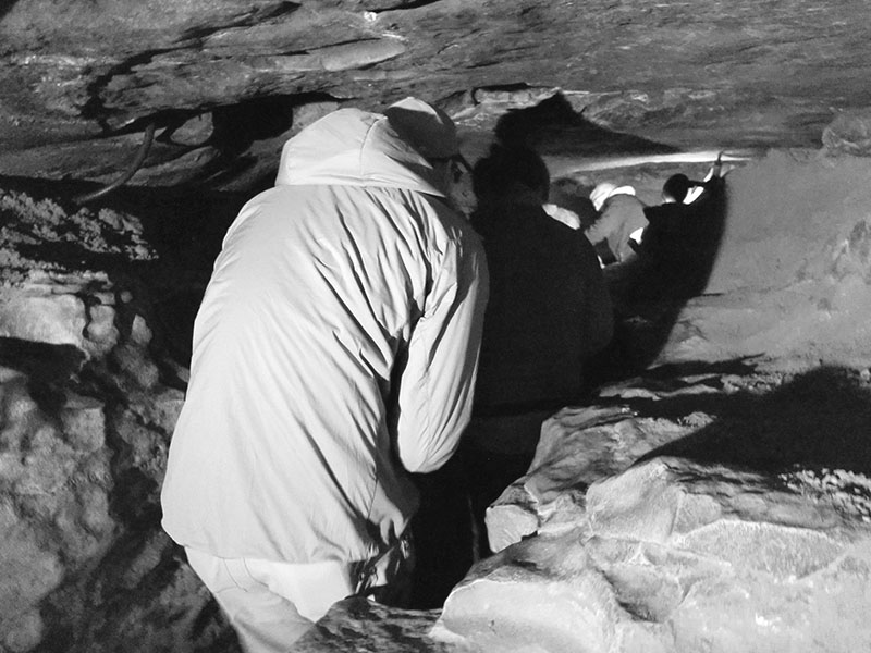 Mammoth Cave National Park