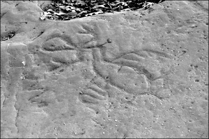 Leo Petroglyphs