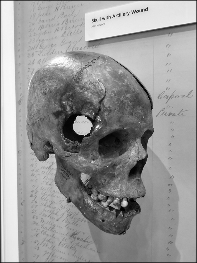 National Museum of Health and Medicine