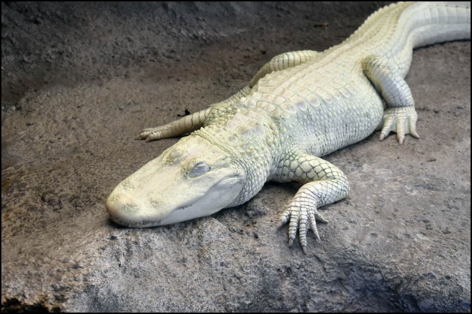 North Carolina Aquarium at Fort Fisher