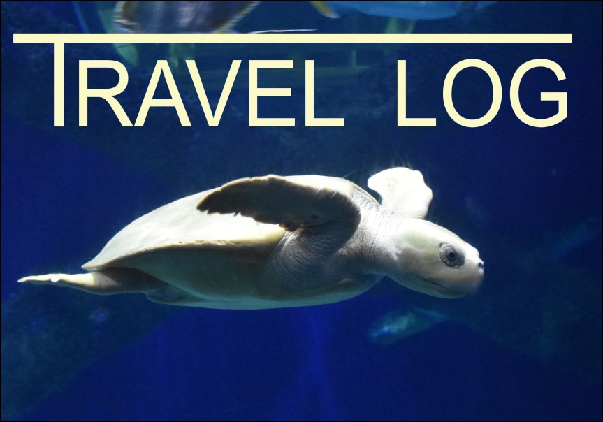 Virginia Aquarium and Marine Science Center