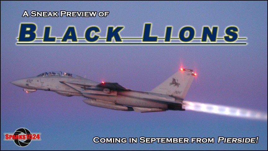 Happy Independence Day!  A sneak F-14 Tomcat&nbsp;preview…